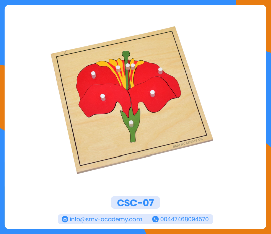 بازل أجزاء الوردة – Parts of a flower puzzle